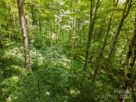 948 Lookout Drive Mars Hill NC 28754