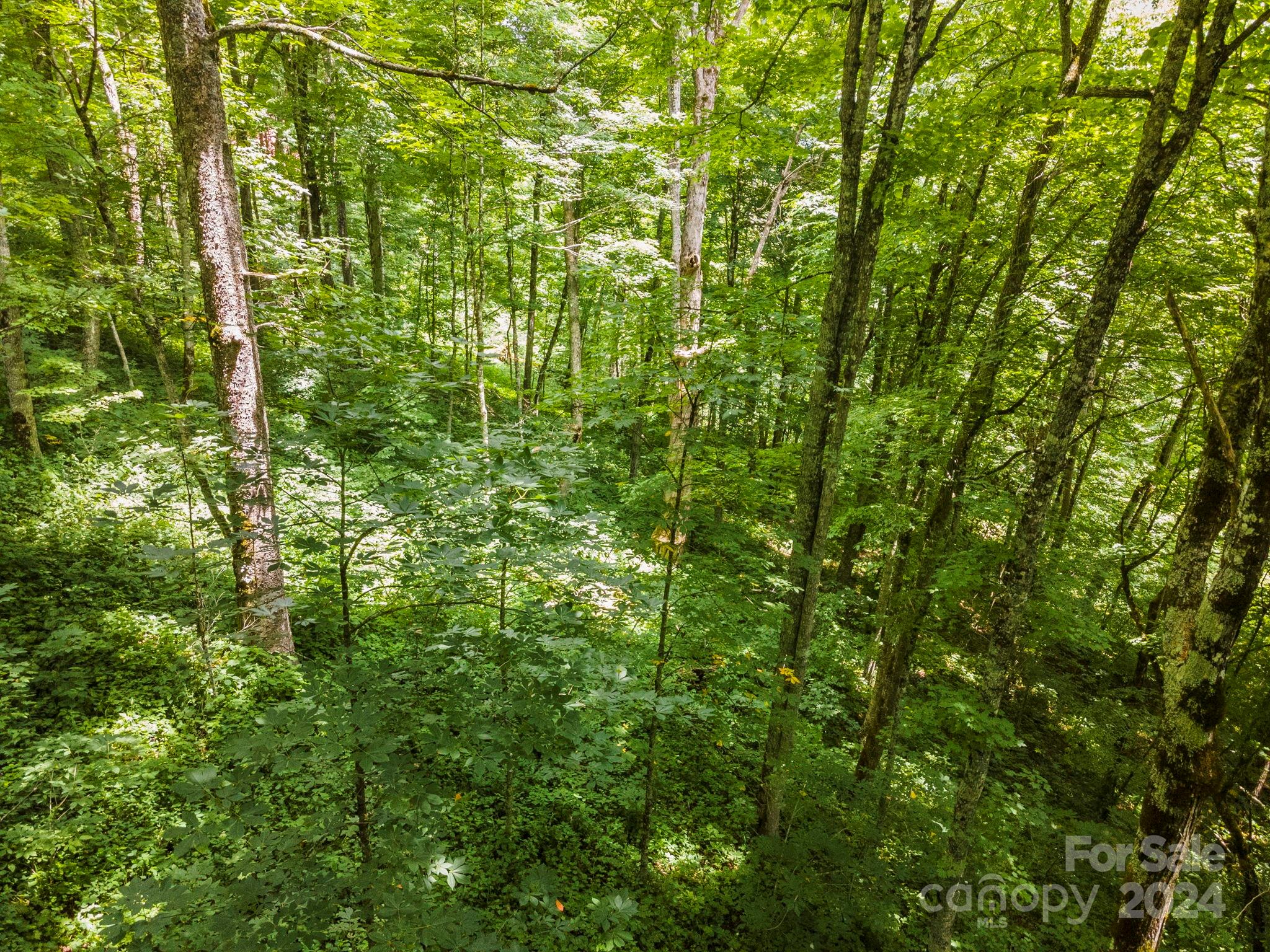 948 Lookout Drive Mars Hill NC 28754