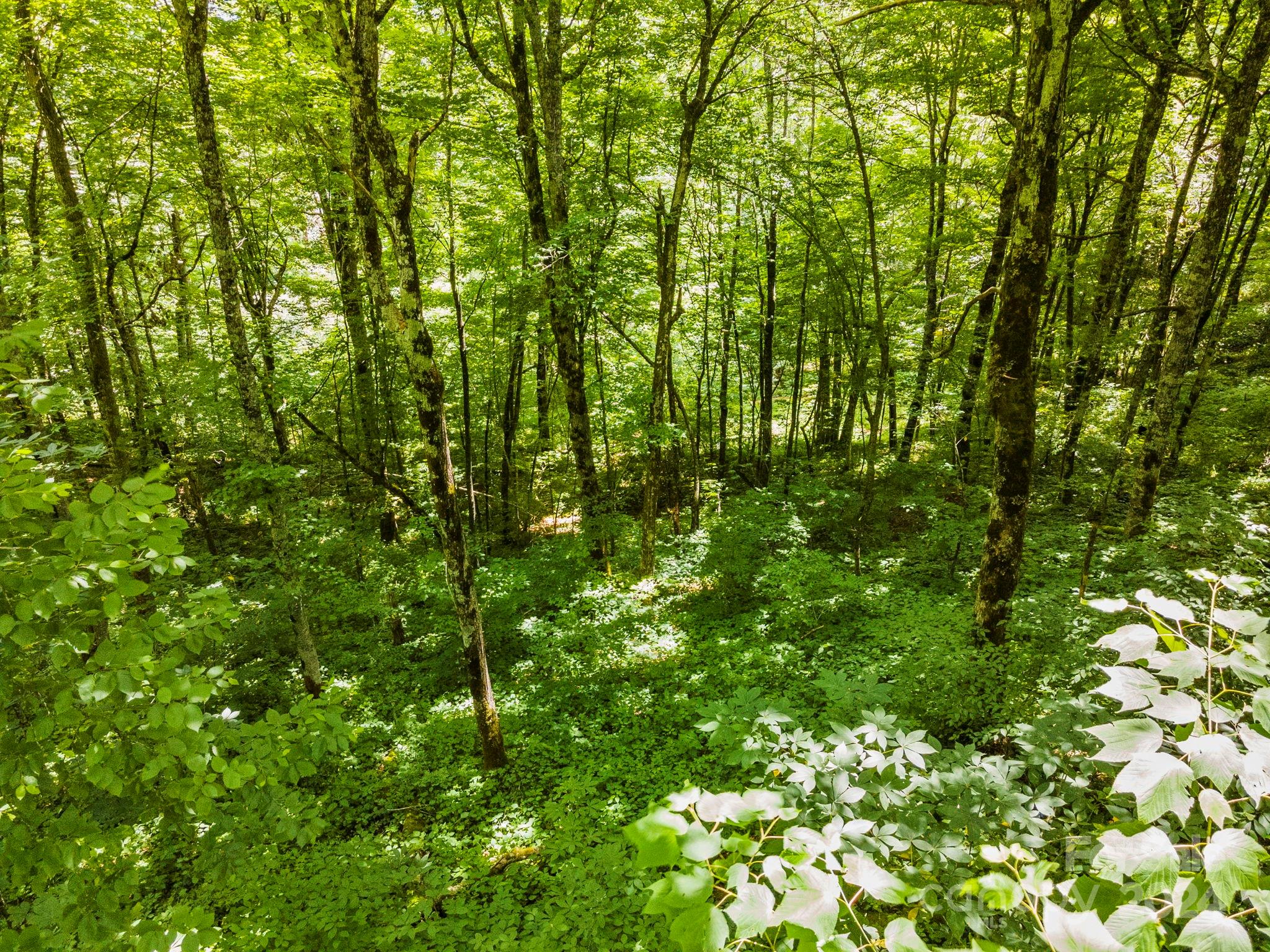 948 Lookout Drive Mars Hill NC 28754