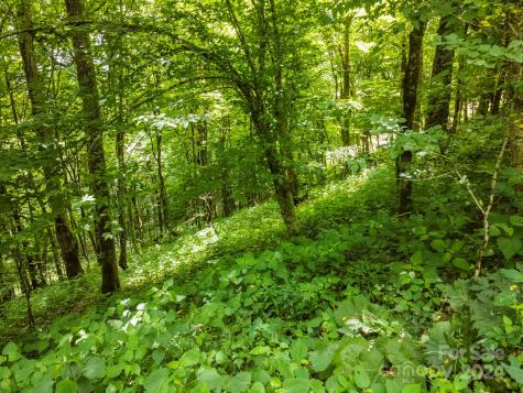 948 Lookout Drive Mars Hill NC 28754