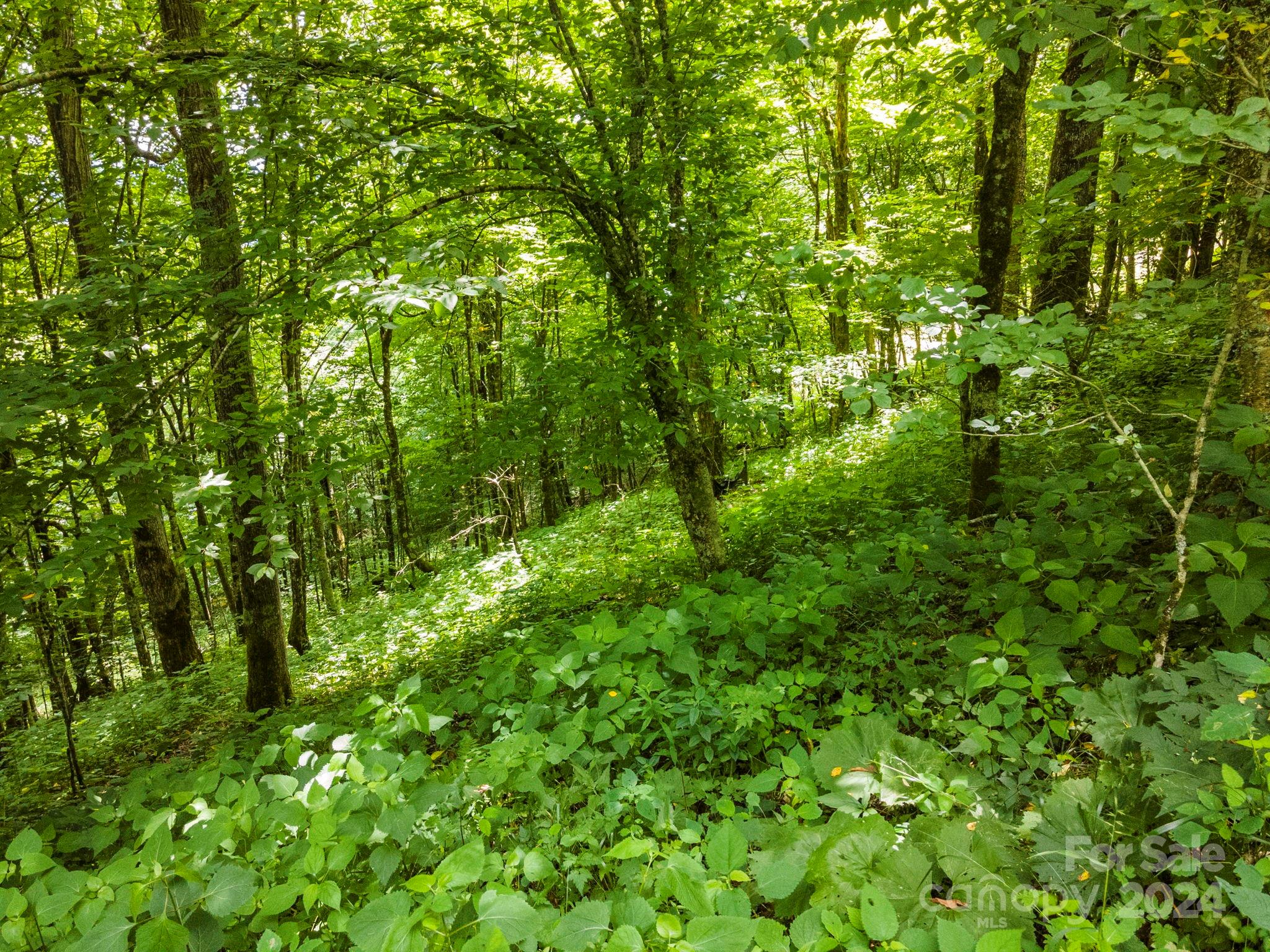 948 Lookout Drive Mars Hill NC 28754