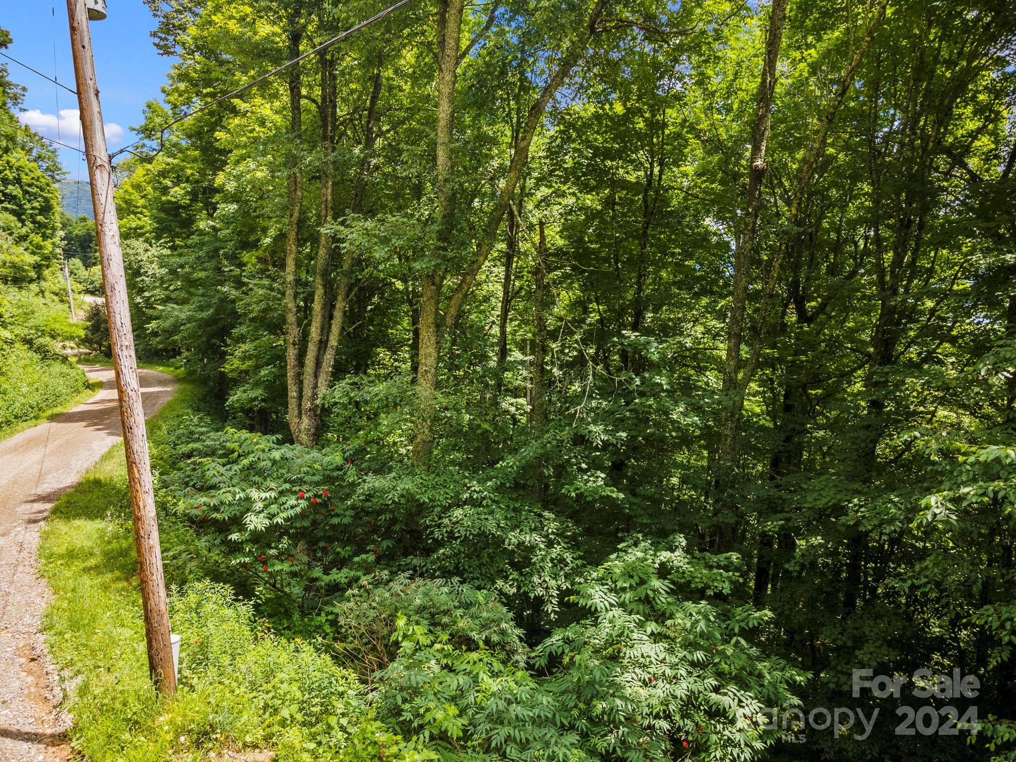 948 Lookout Drive Mars Hill NC 28754