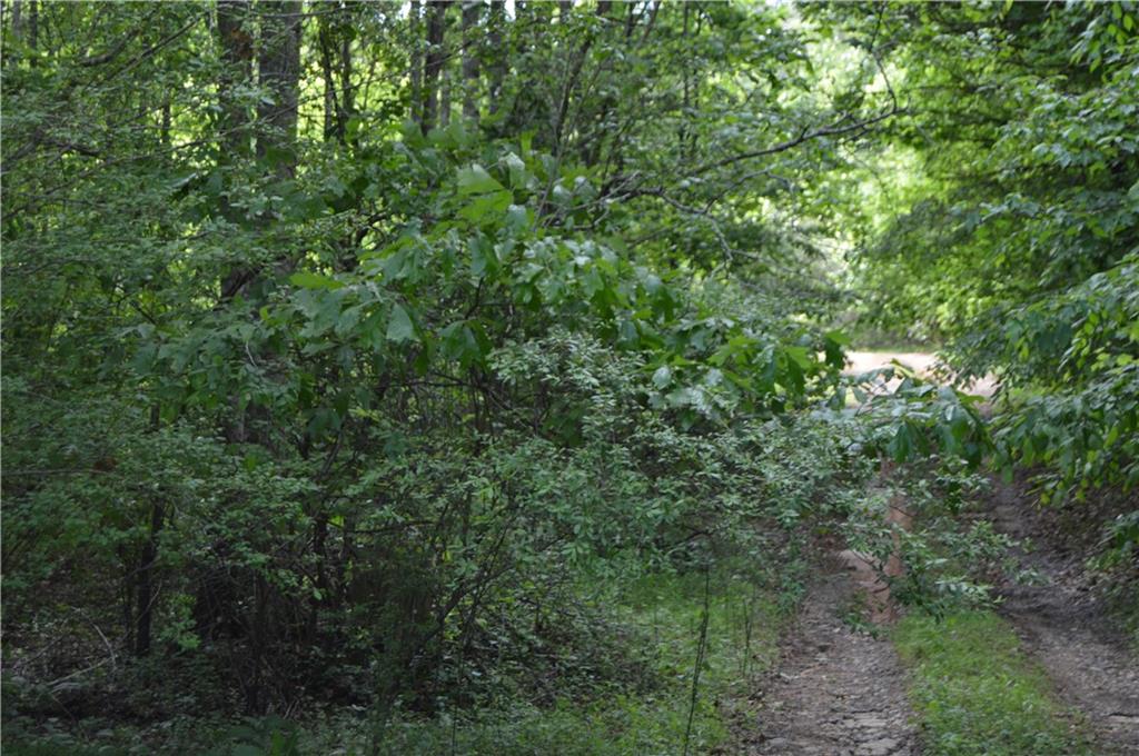 1011 Zinfandel Lane Lenoir NC 28645