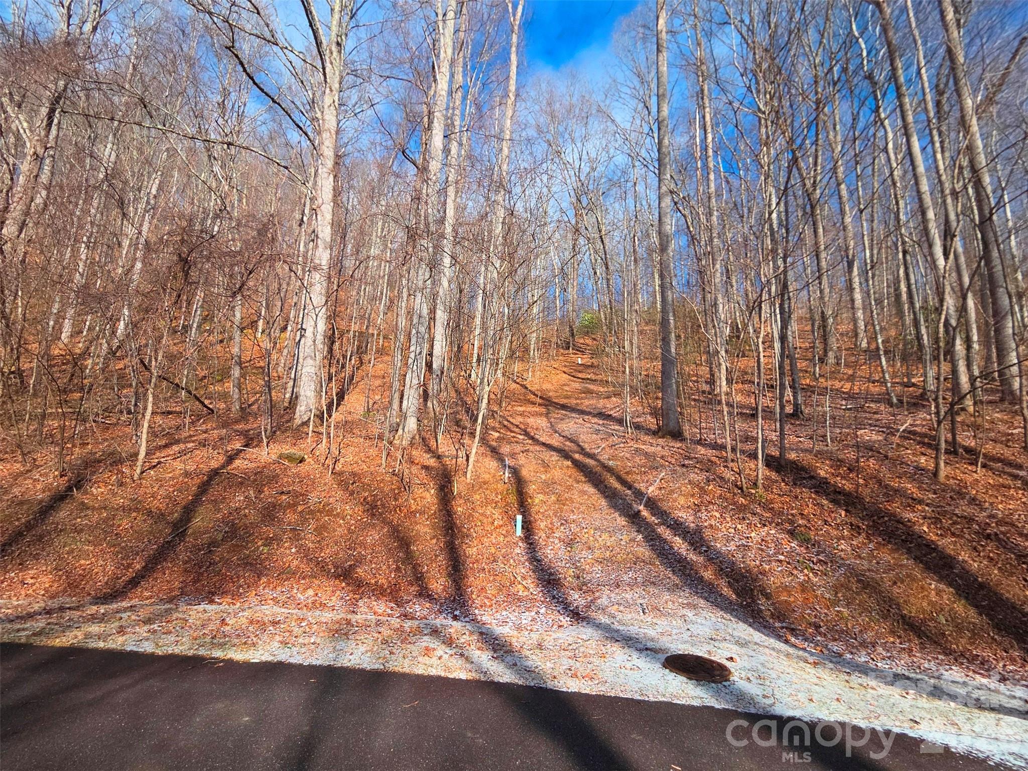 455 Mountain Watch Drive Waynesville NC 28785