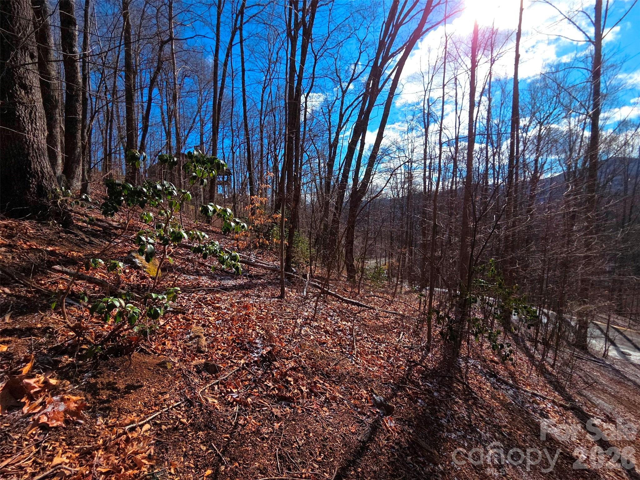 455 Mountain Watch Drive Waynesville NC 28785