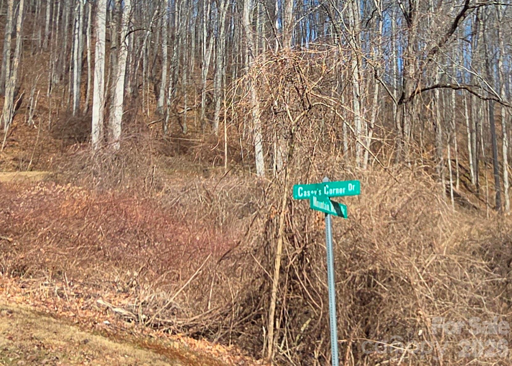 455 Mountain Watch Drive Waynesville NC 28785