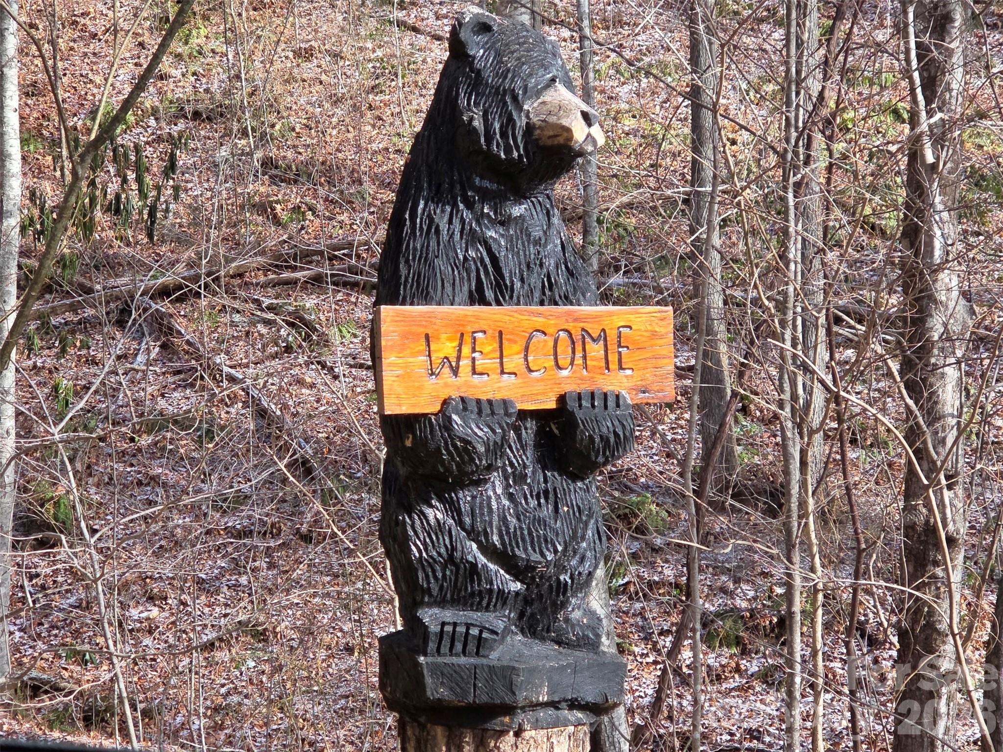 455 Mountain Watch Drive Waynesville NC 28785