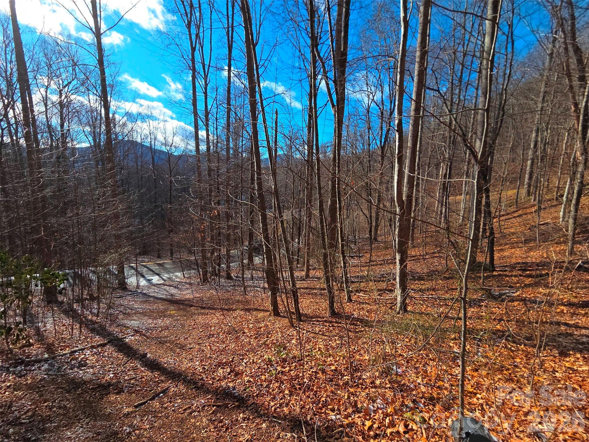 455 Mountain Watch Drive Waynesville NC 28785