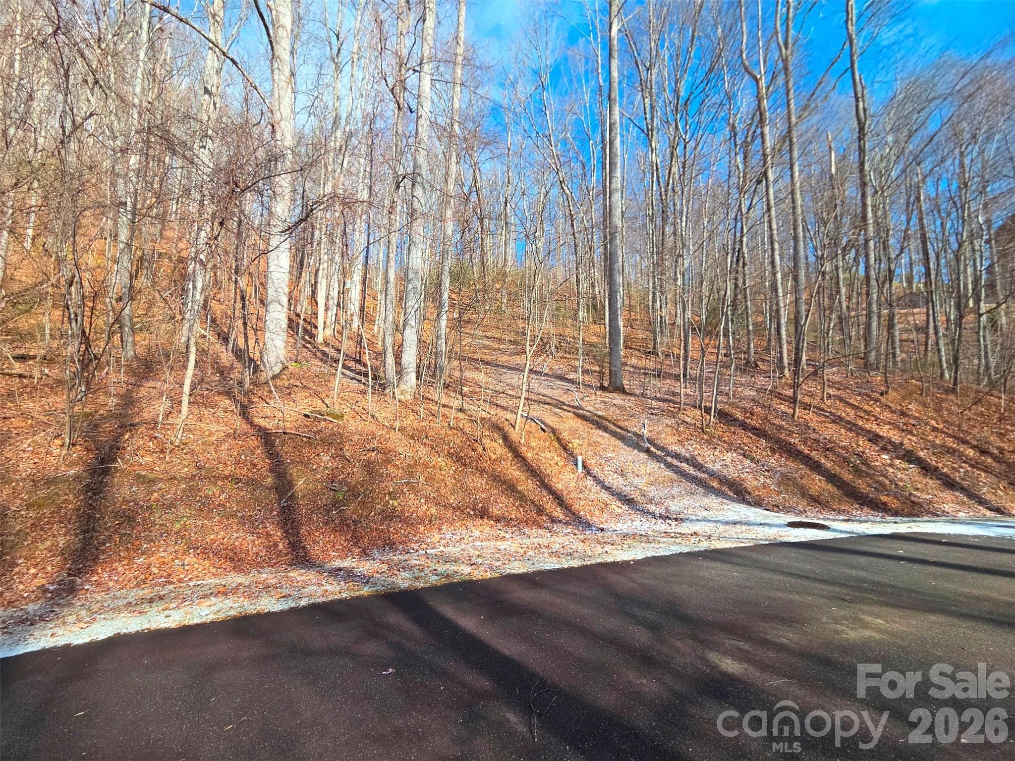 455 Mountain Watch Drive Waynesville NC 28785