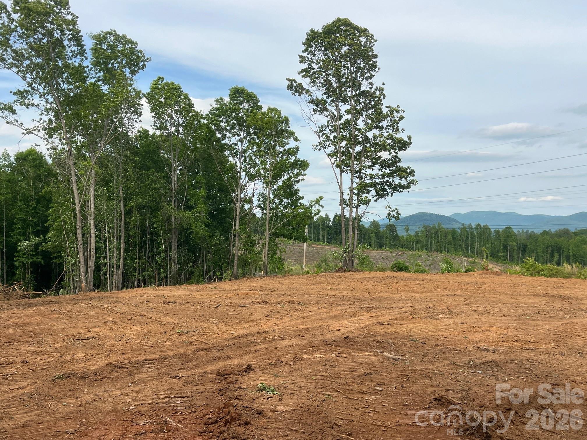 Tbd Vein Mountain Road Nebo NC 28761