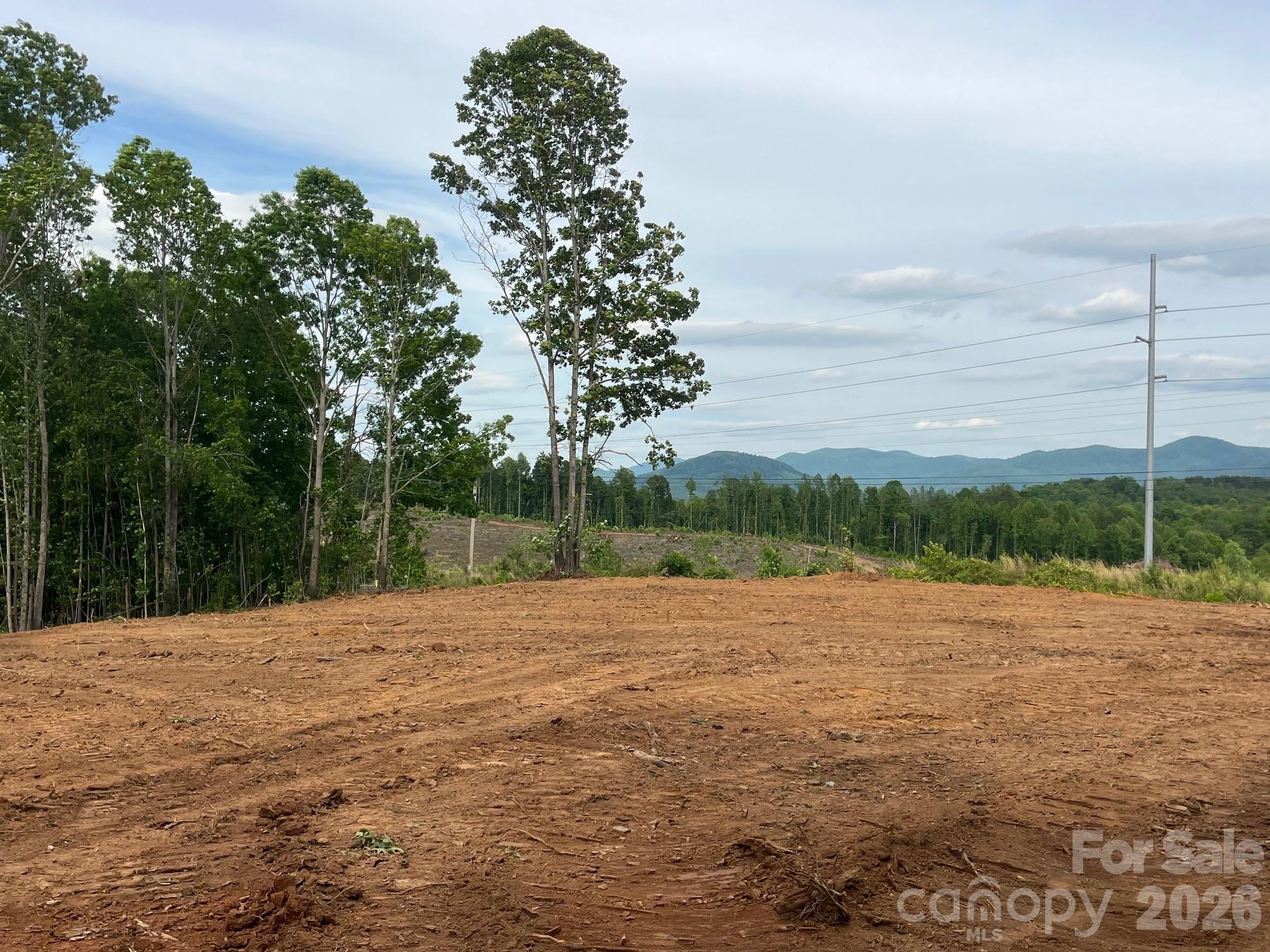 Tbd Vein Mountain Road Nebo NC 28761