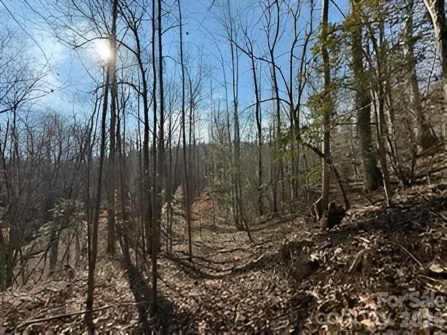 3825 Wood Glen Drive Morganton NC 28655