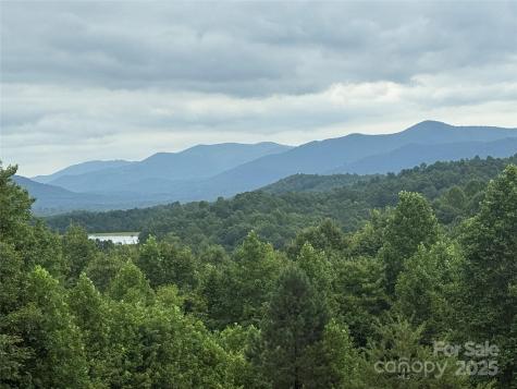 166 Coal Pit Mountain Drive Nebo NC 28761