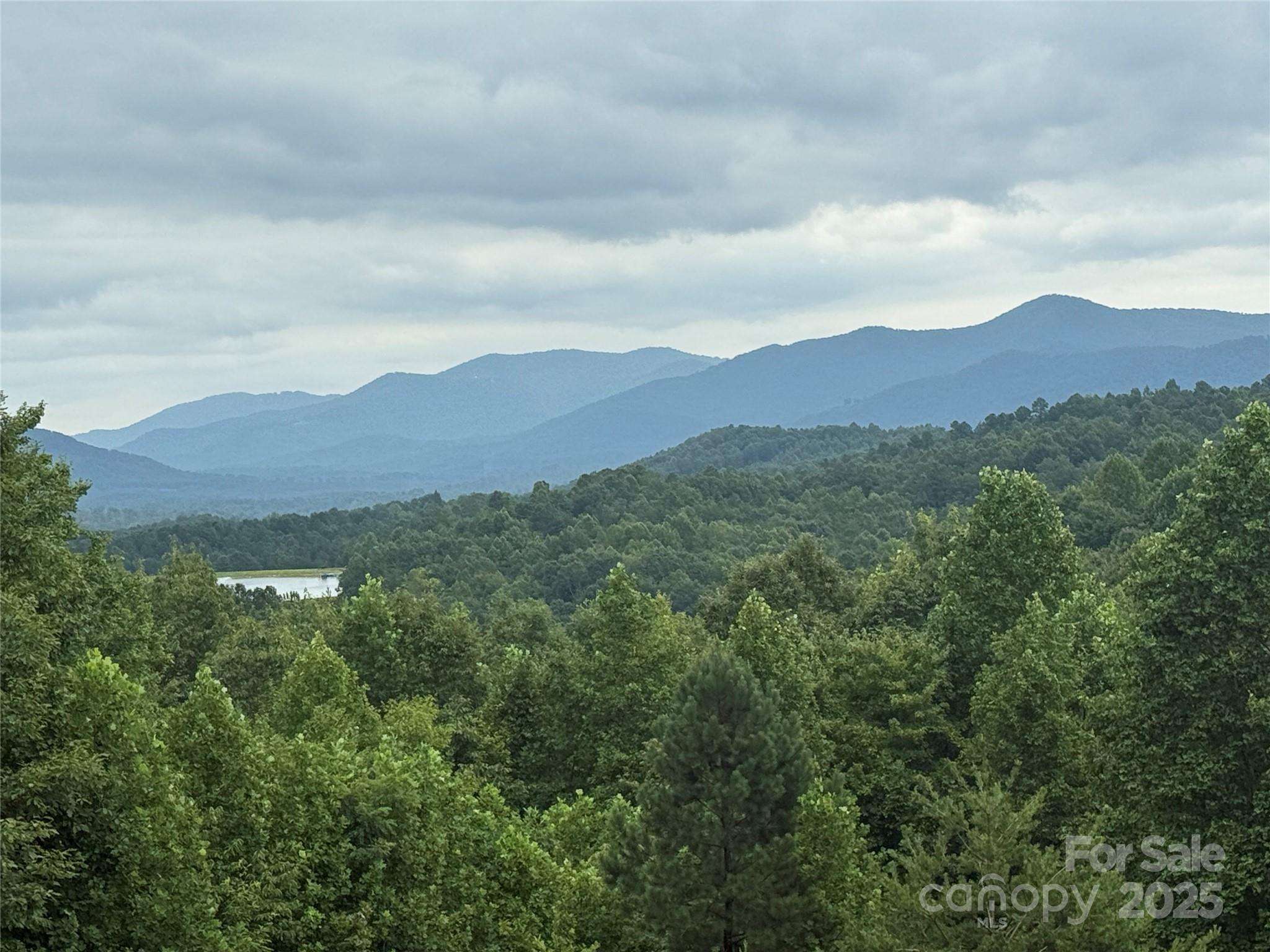 166 Coal Pit Mountain Drive Nebo NC 28761