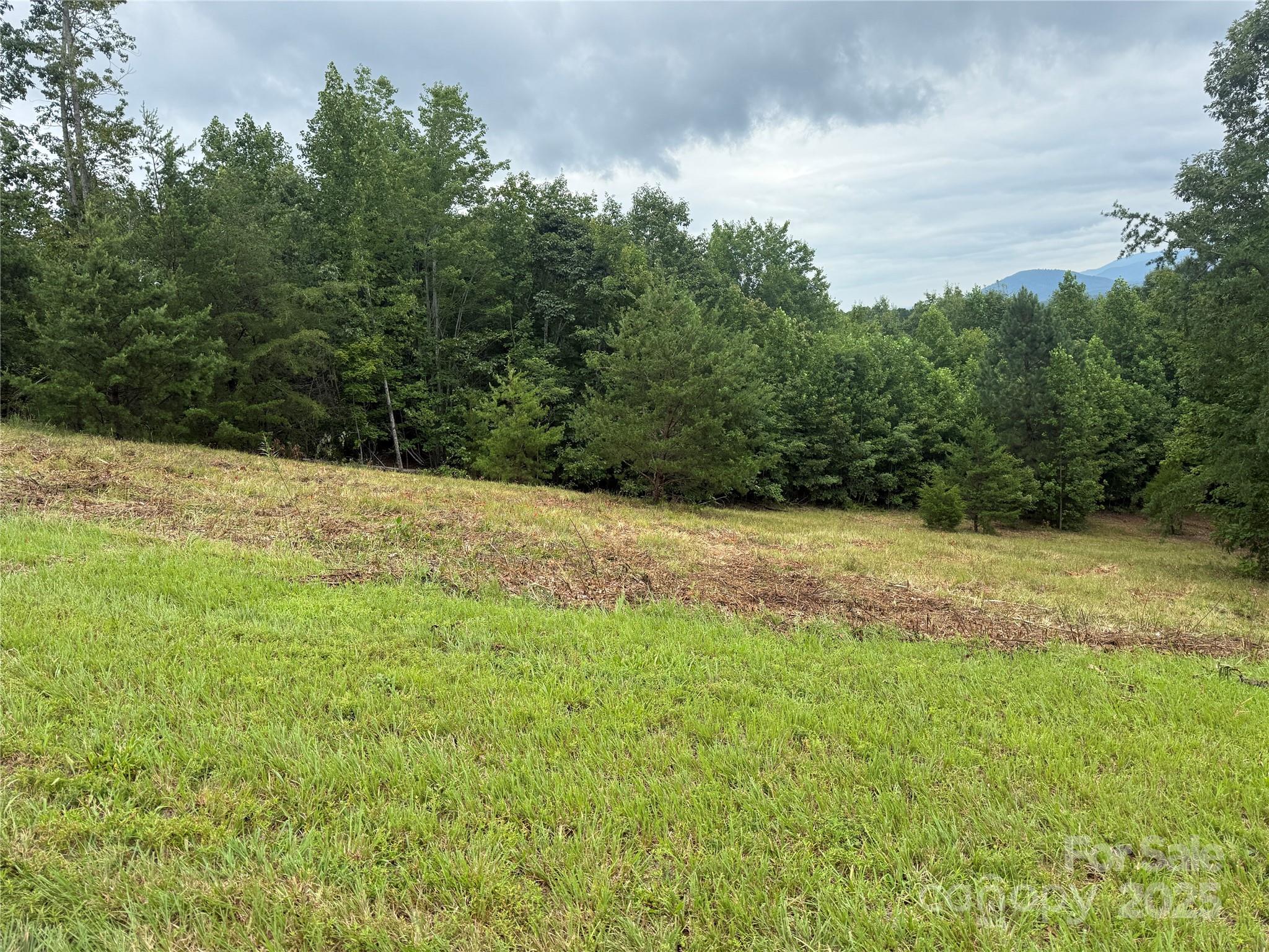166 Coal Pit Mountain Drive Nebo NC 28761