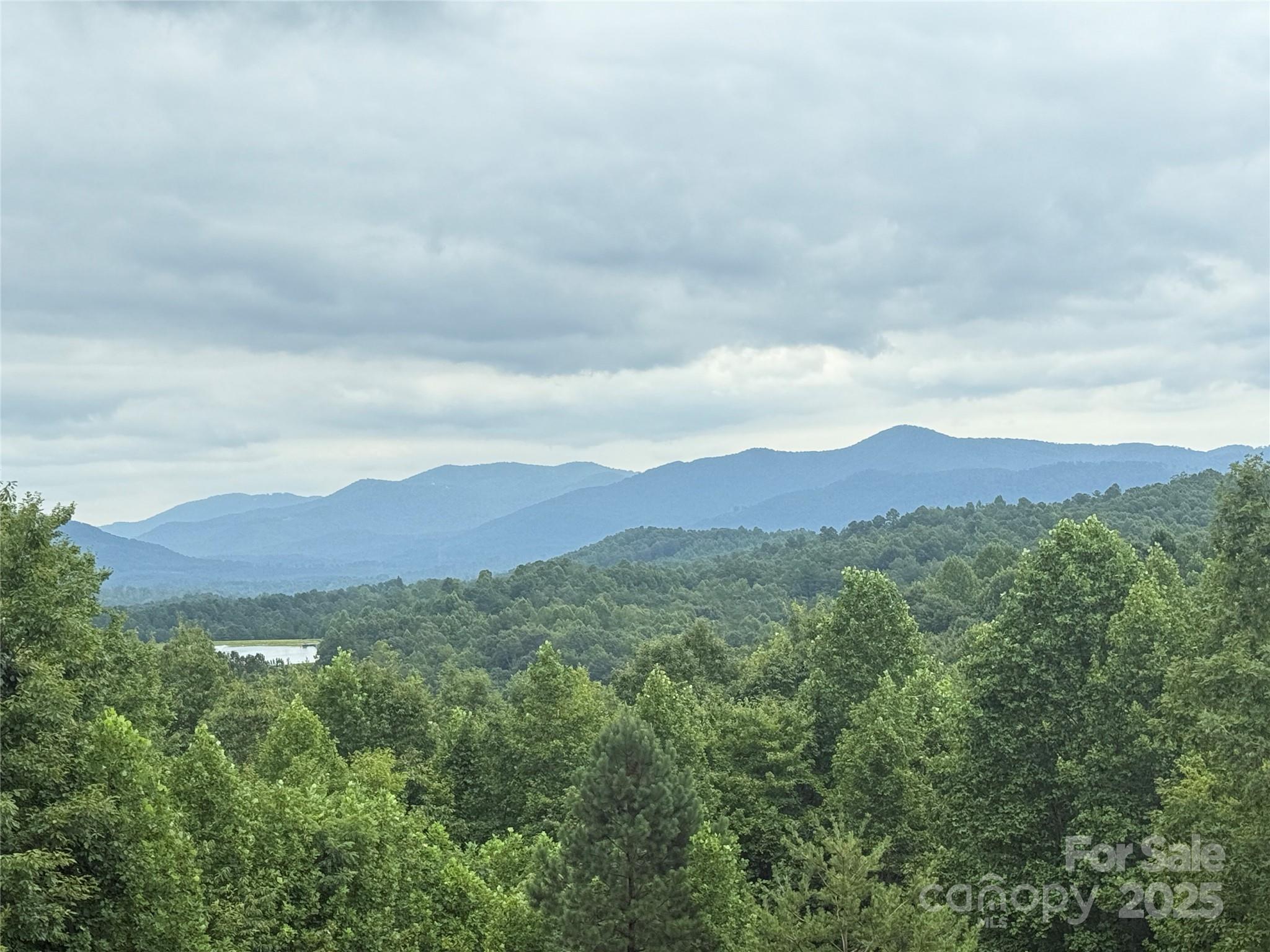 166 Coal Pit Mountain Drive Nebo NC 28761