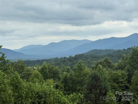 166 Coal Pit Mountain Drive Nebo NC 28761