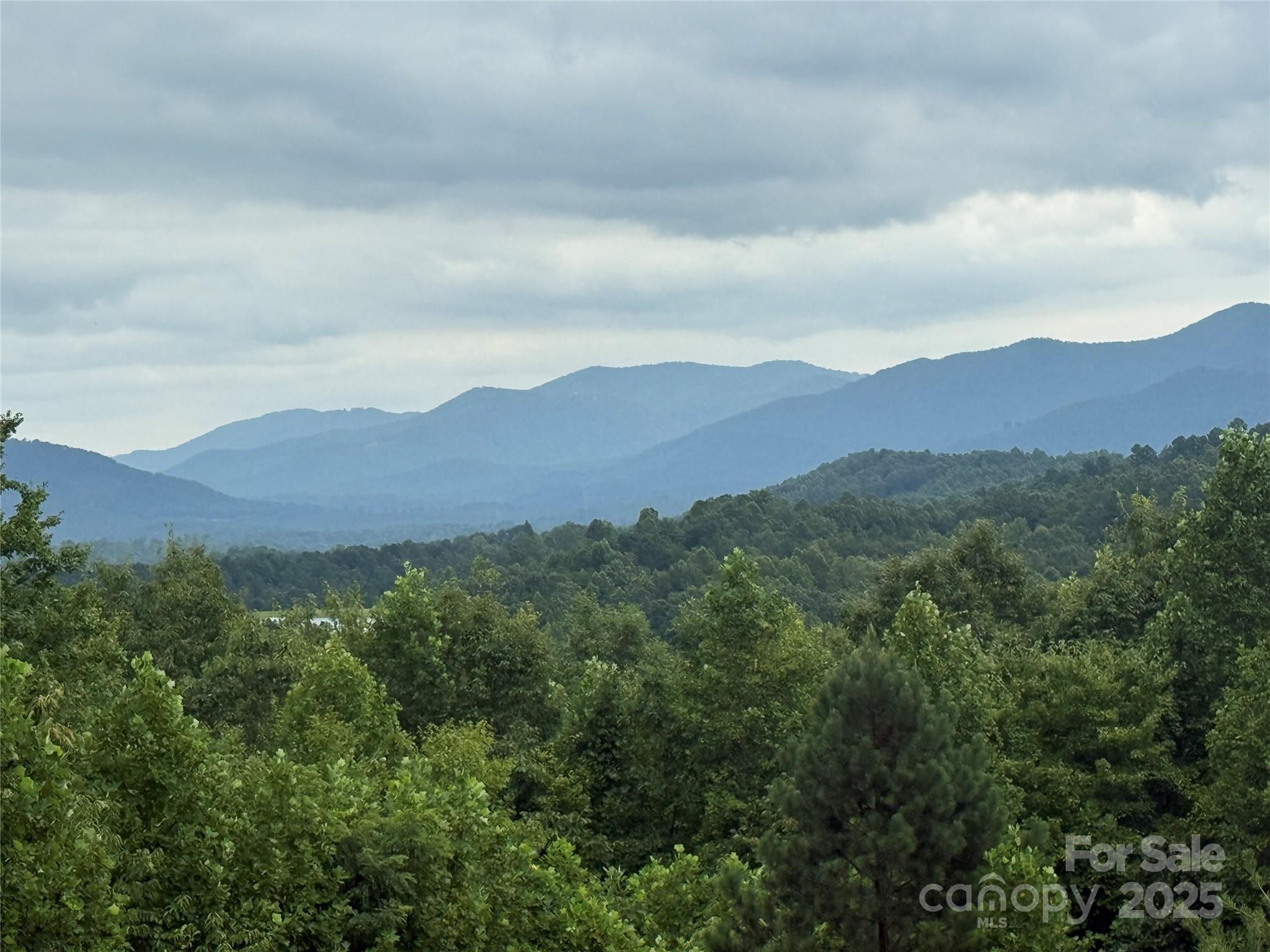 166 Coal Pit Mountain Drive Nebo NC 28761
