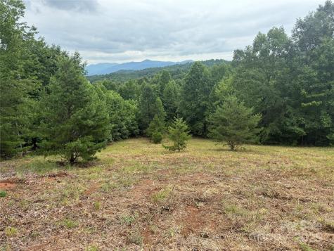 166 Coal Pit Mountain Drive Nebo NC 28761
