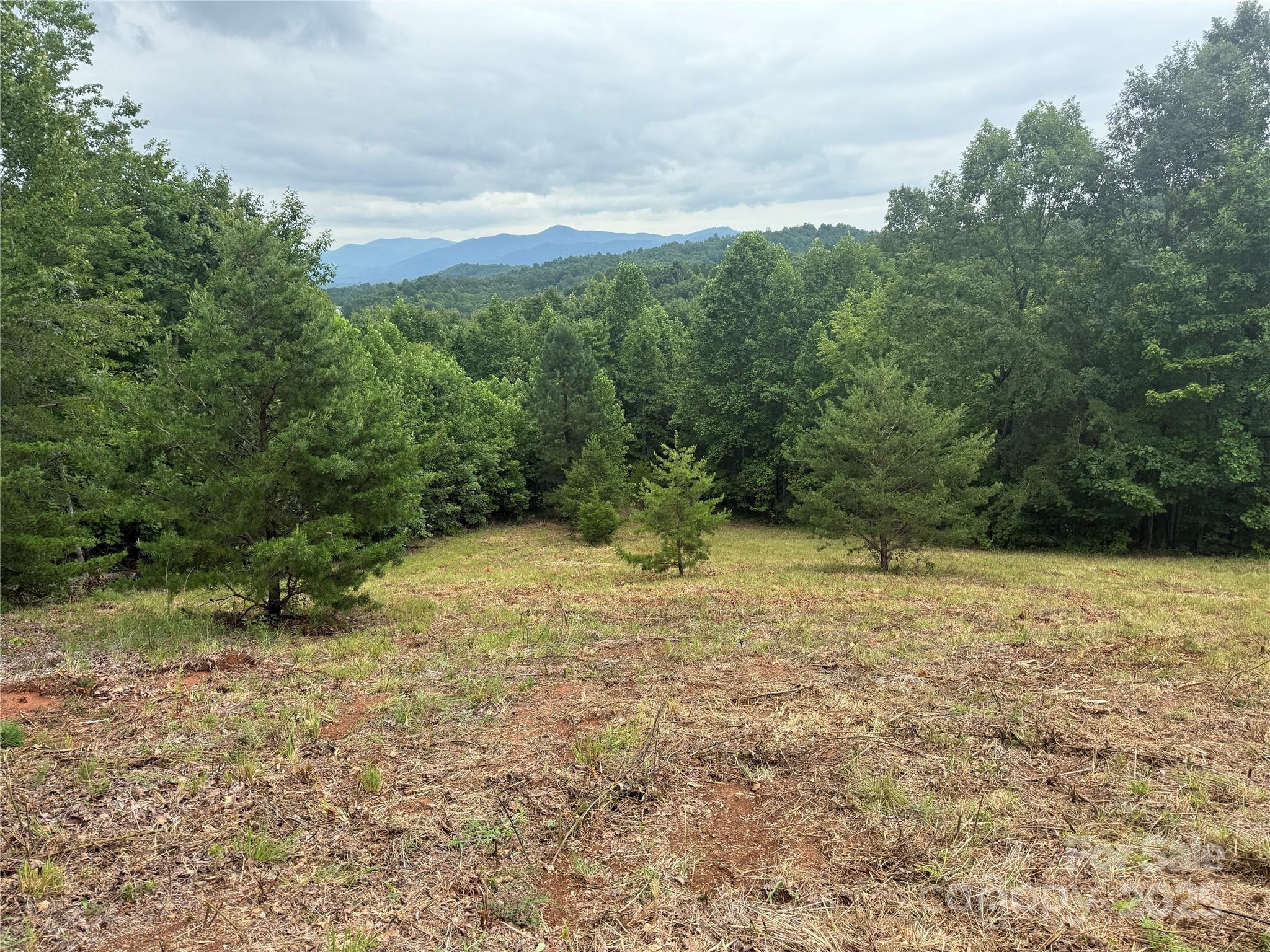 166 Coal Pit Mountain Drive Nebo NC 28761