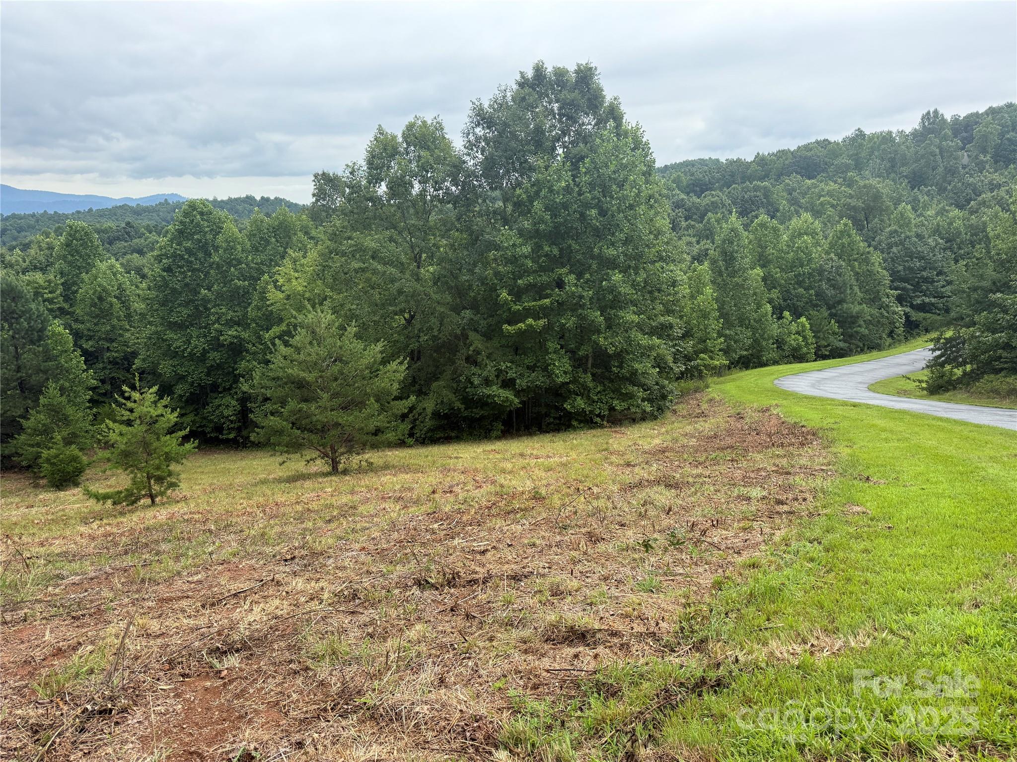 166 Coal Pit Mountain Drive Nebo NC 28761