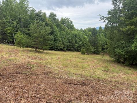 166 Coal Pit Mountain Drive Nebo NC 28761