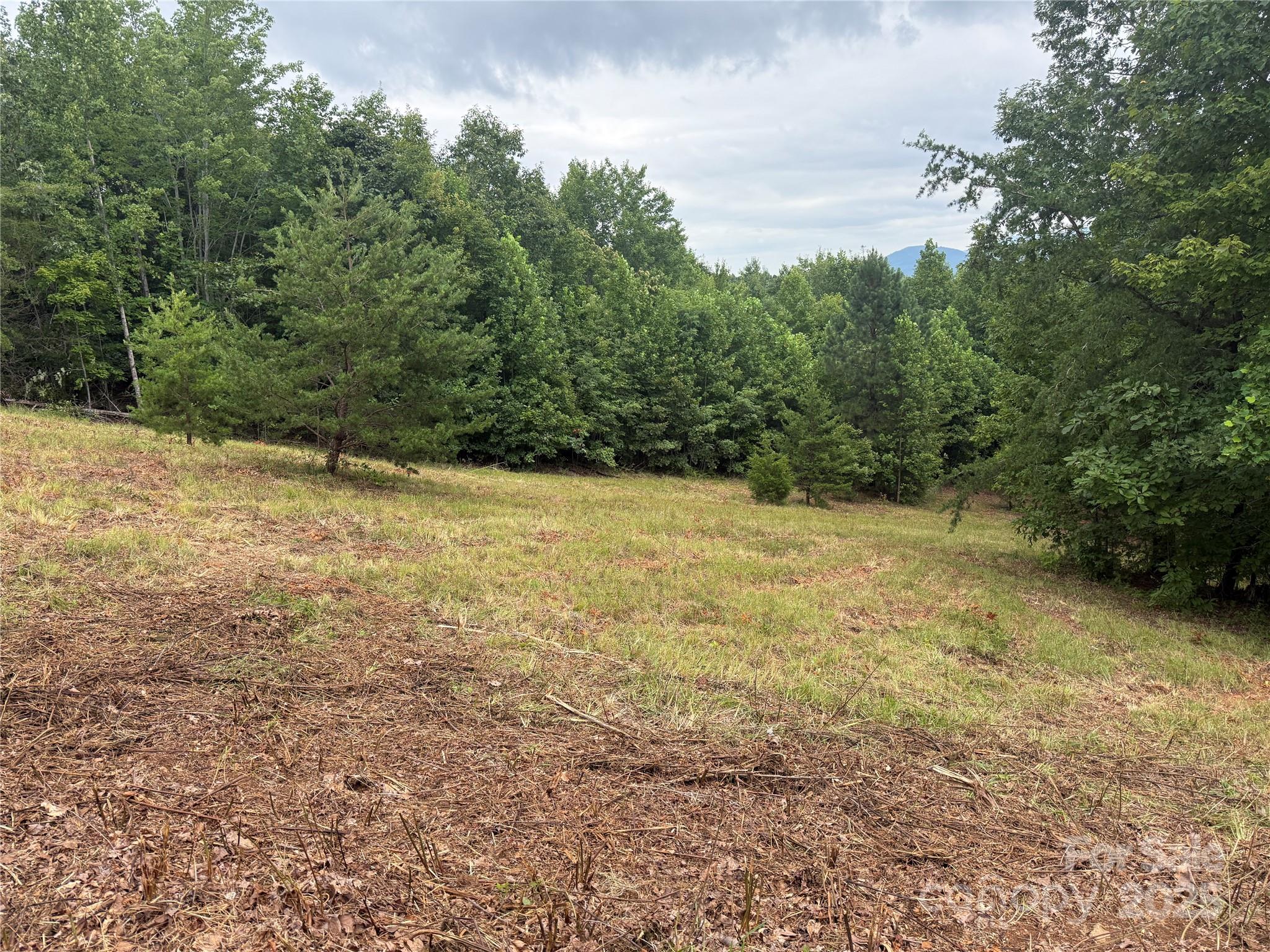 166 Coal Pit Mountain Drive Nebo NC 28761