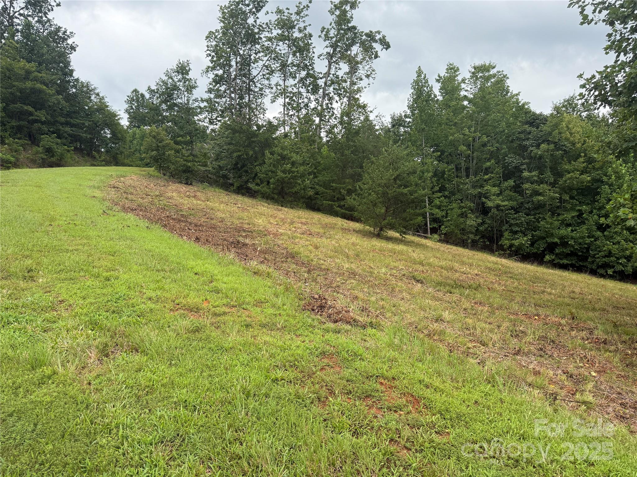 166 Coal Pit Mountain Drive Nebo NC 28761