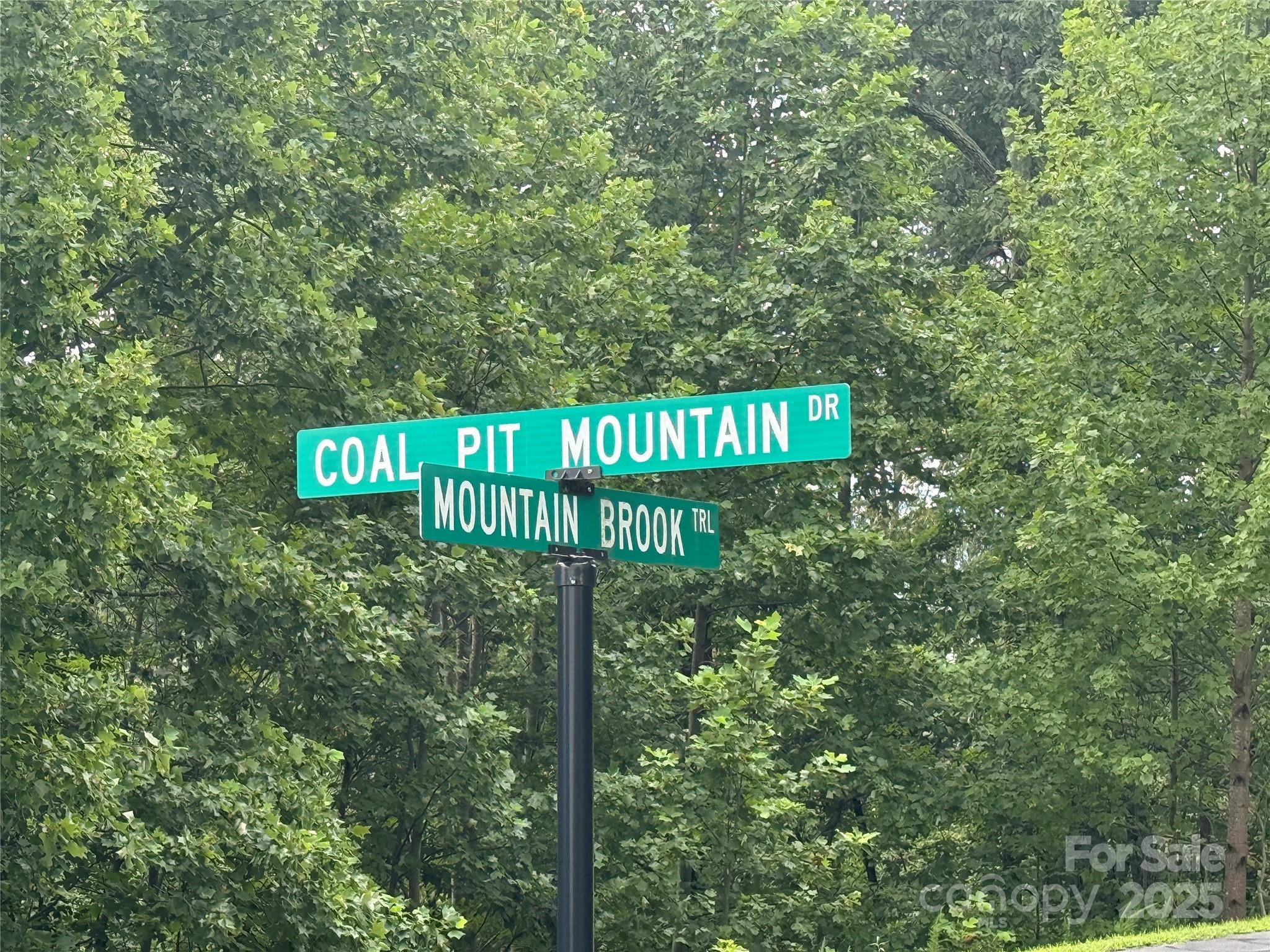 166 Coal Pit Mountain Drive Nebo NC 28761