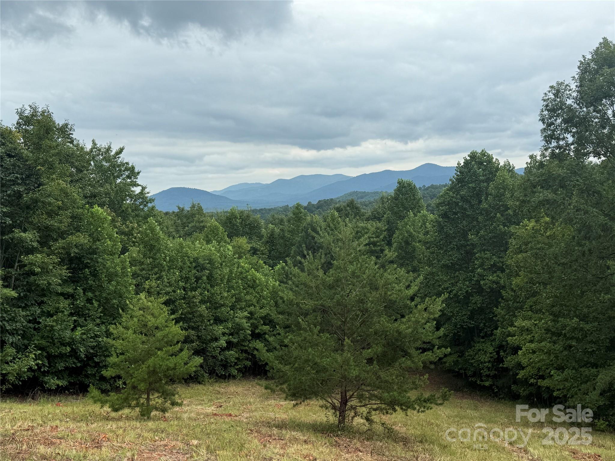 166 Coal Pit Mountain Drive Nebo NC 28761