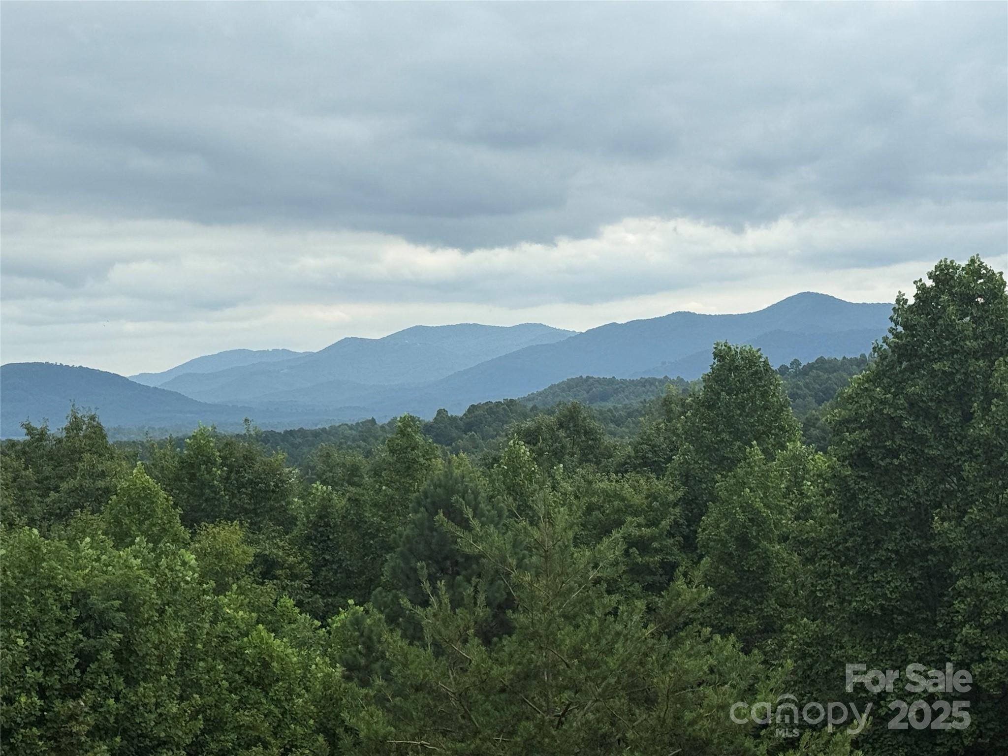 166 Coal Pit Mountain Drive Nebo NC 28761