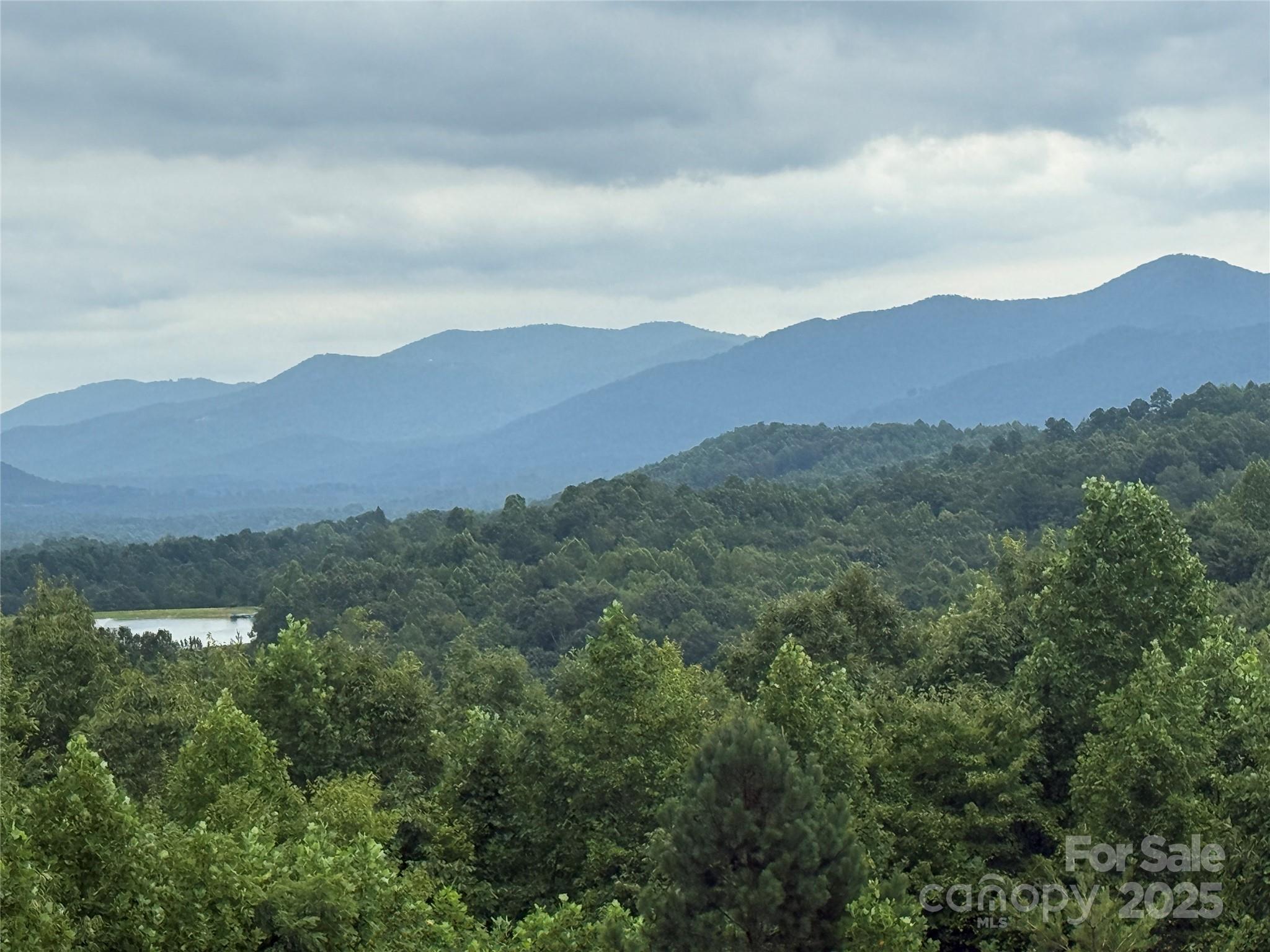 166 Coal Pit Mountain Drive Nebo NC 28761