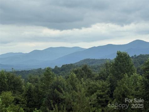 166 Coal Pit Mountain Drive Nebo NC 28761