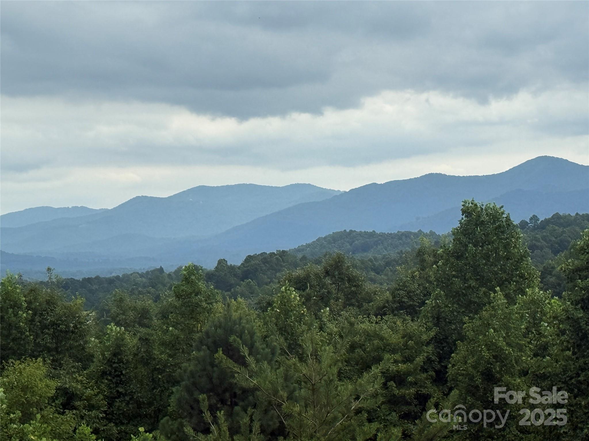 166 Coal Pit Mountain Drive Nebo NC 28761