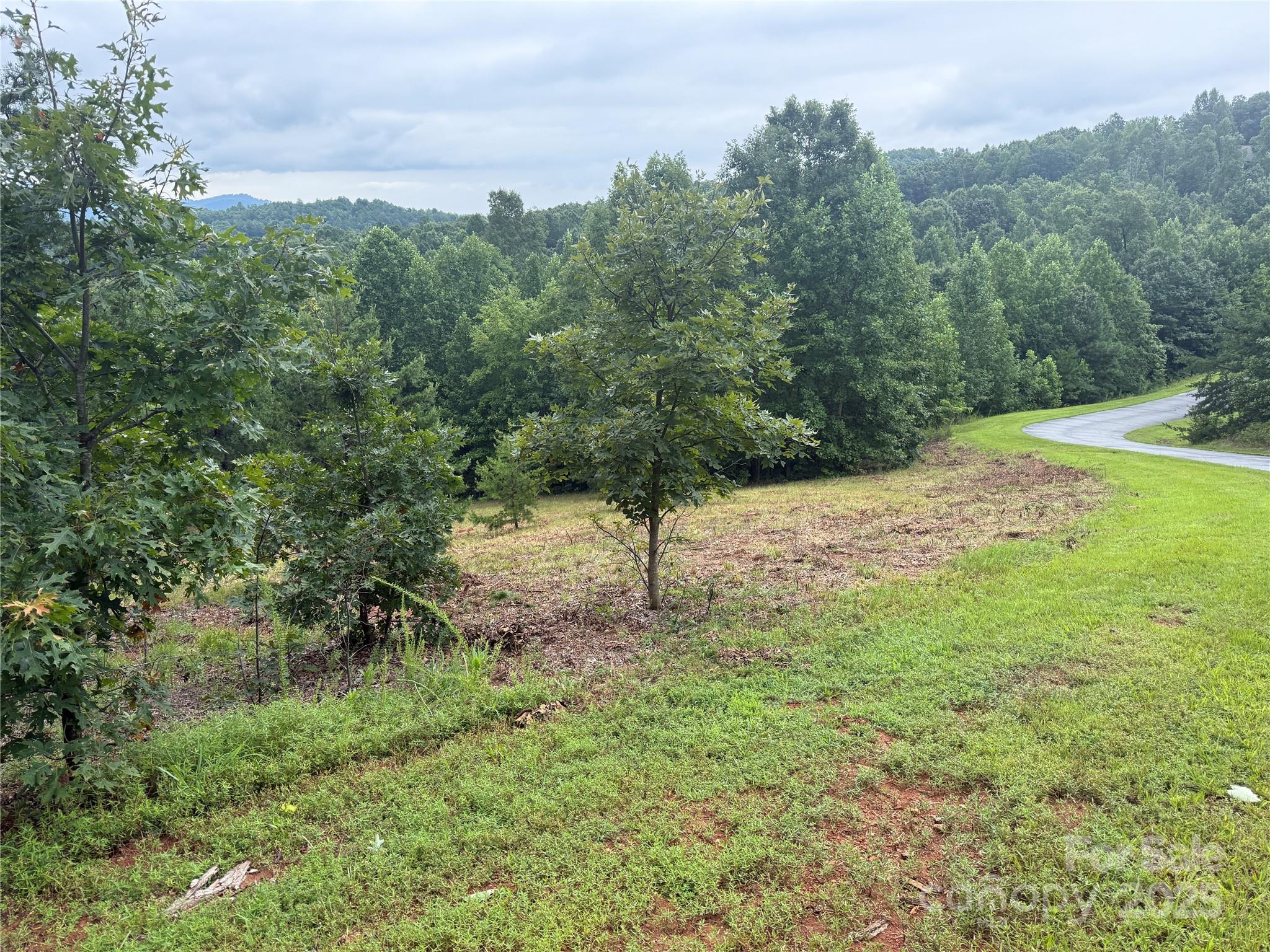 166 Coal Pit Mountain Drive Nebo NC 28761
