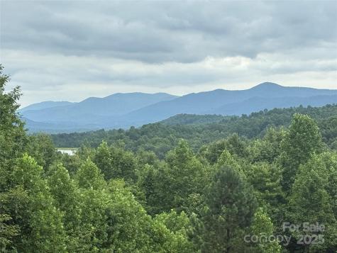 166 Coal Pit Mountain Drive Nebo NC 28761