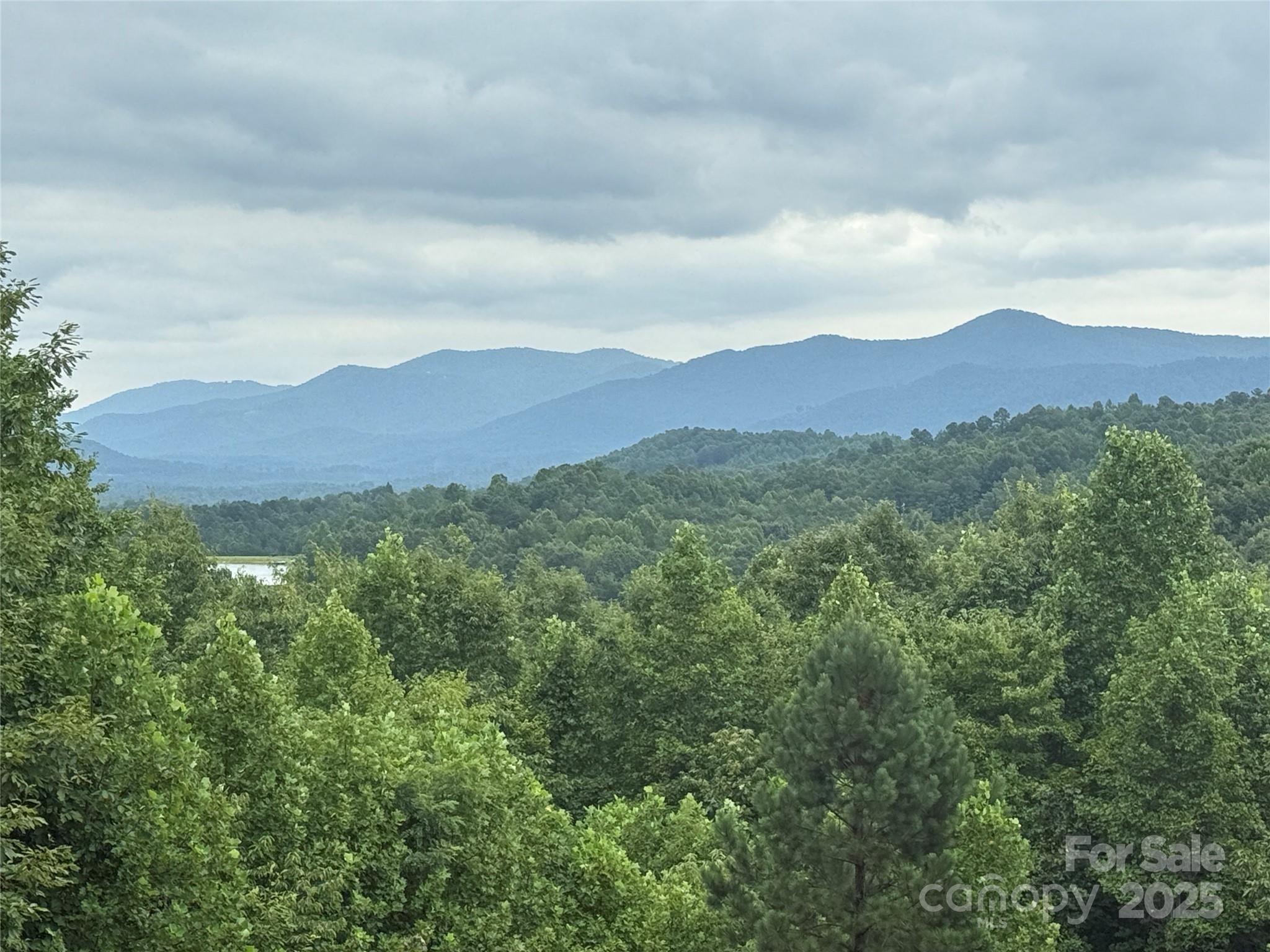 166 Coal Pit Mountain Drive Nebo NC 28761