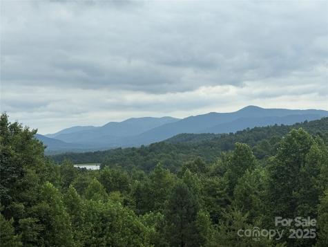 166 Coal Pit Mountain Drive Nebo NC 28761