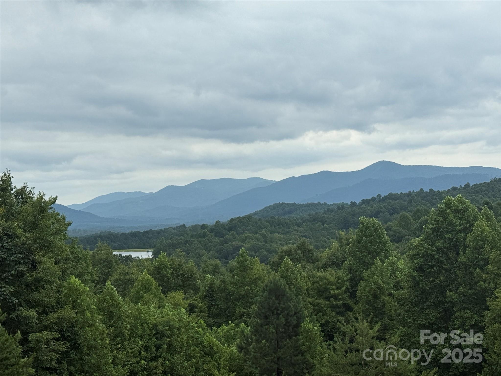 166 Coal Pit Mountain Drive Nebo NC 28761