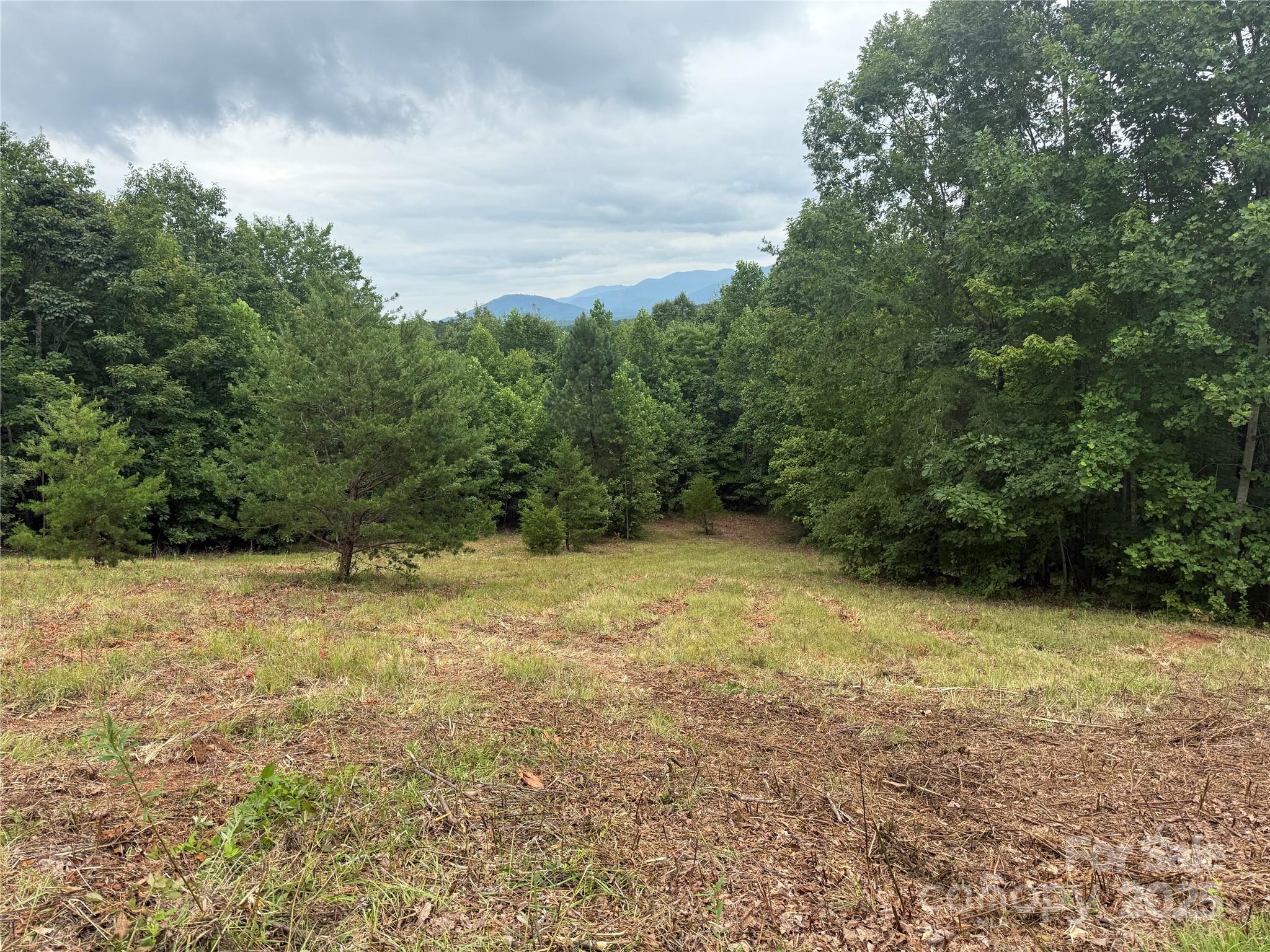 166 Coal Pit Mountain Drive Nebo NC 28761