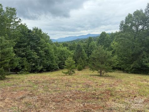 166 Coal Pit Mountain Drive Nebo NC 28761