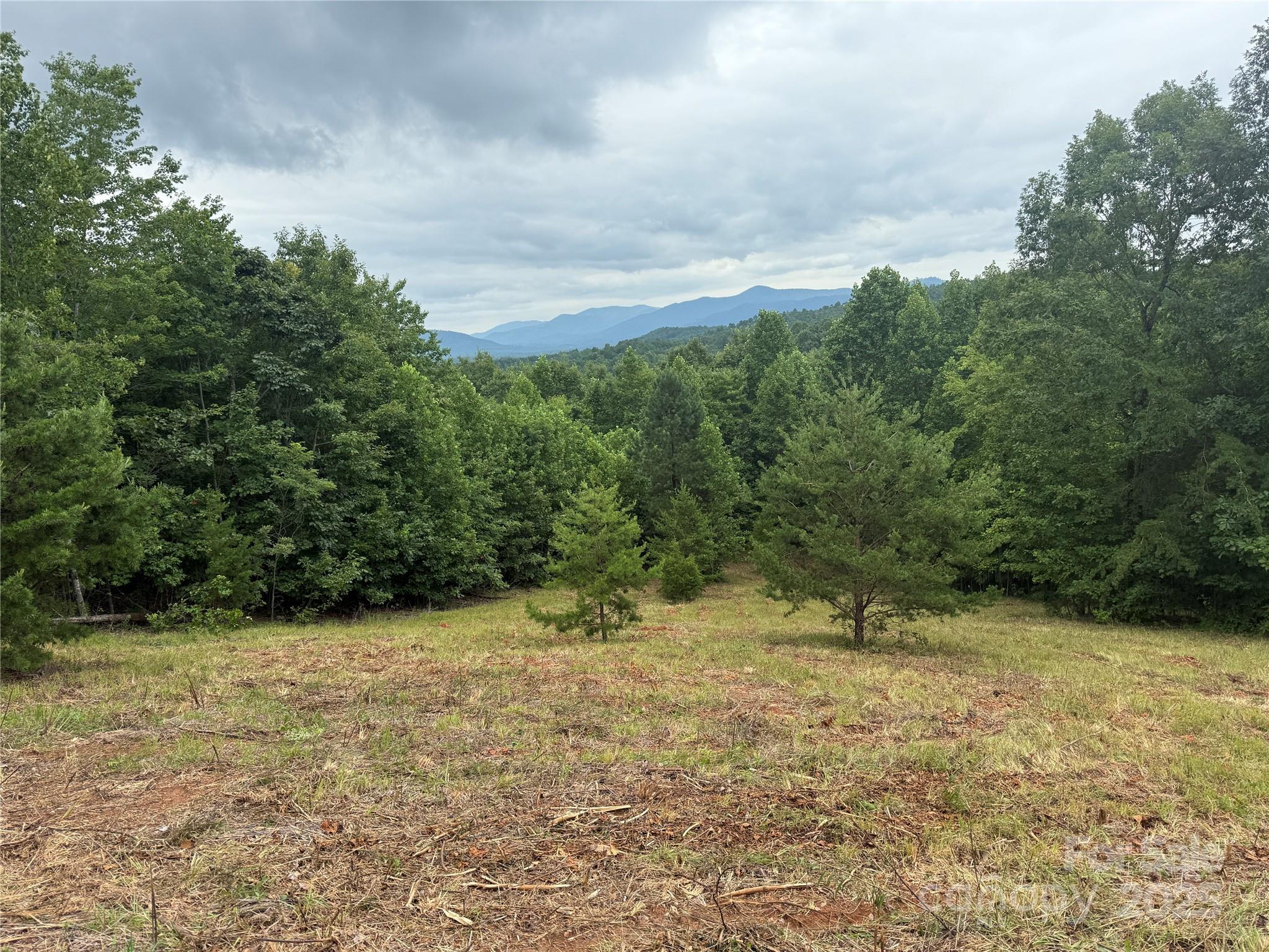 166 Coal Pit Mountain Drive Nebo NC 28761