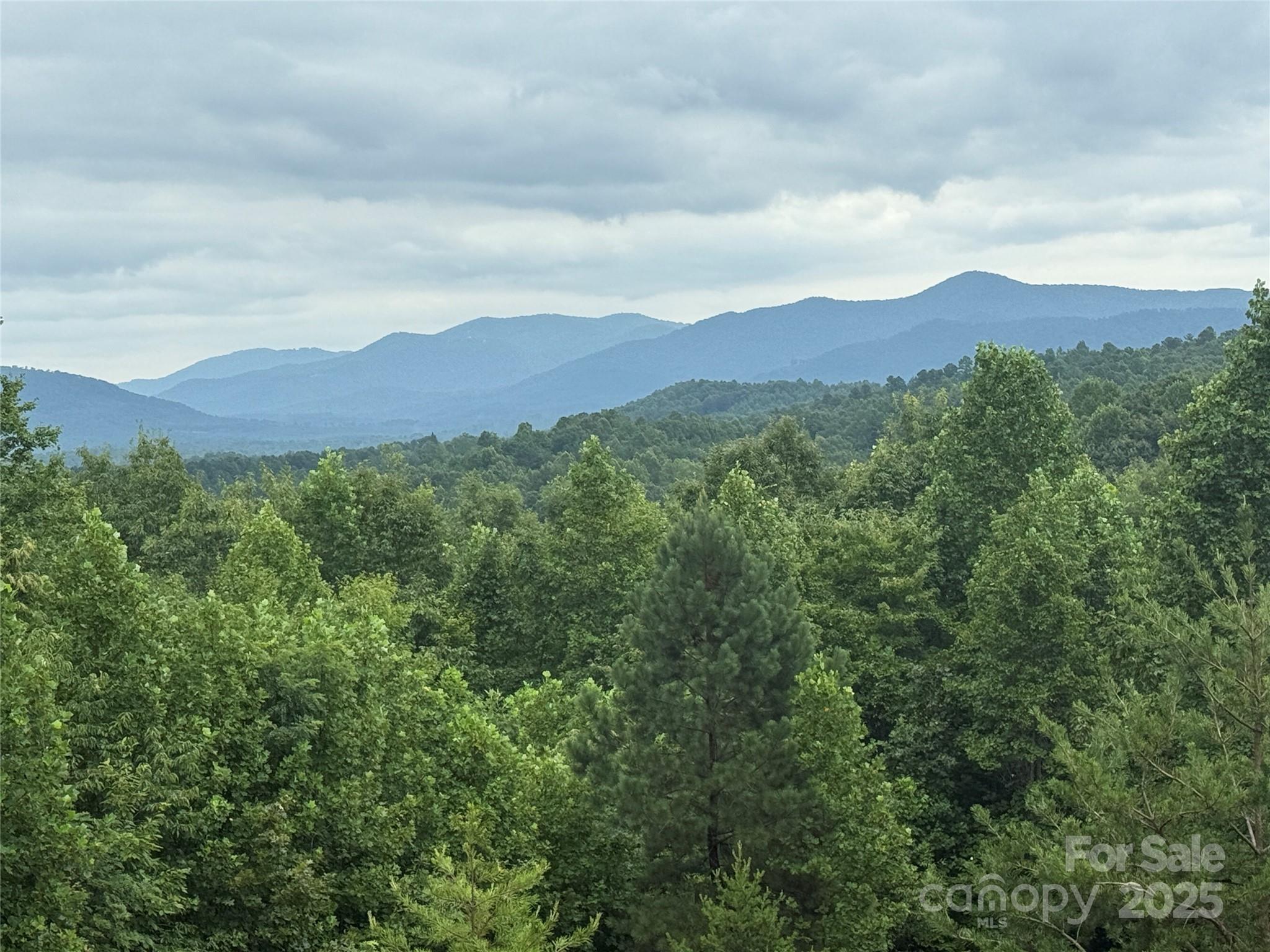166 Coal Pit Mountain Drive Nebo NC 28761