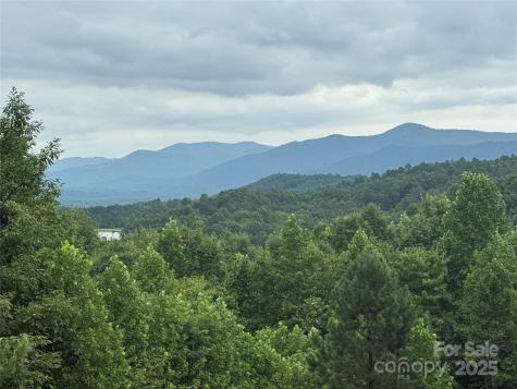 166 Coal Pit Mountain Drive Nebo NC 28761