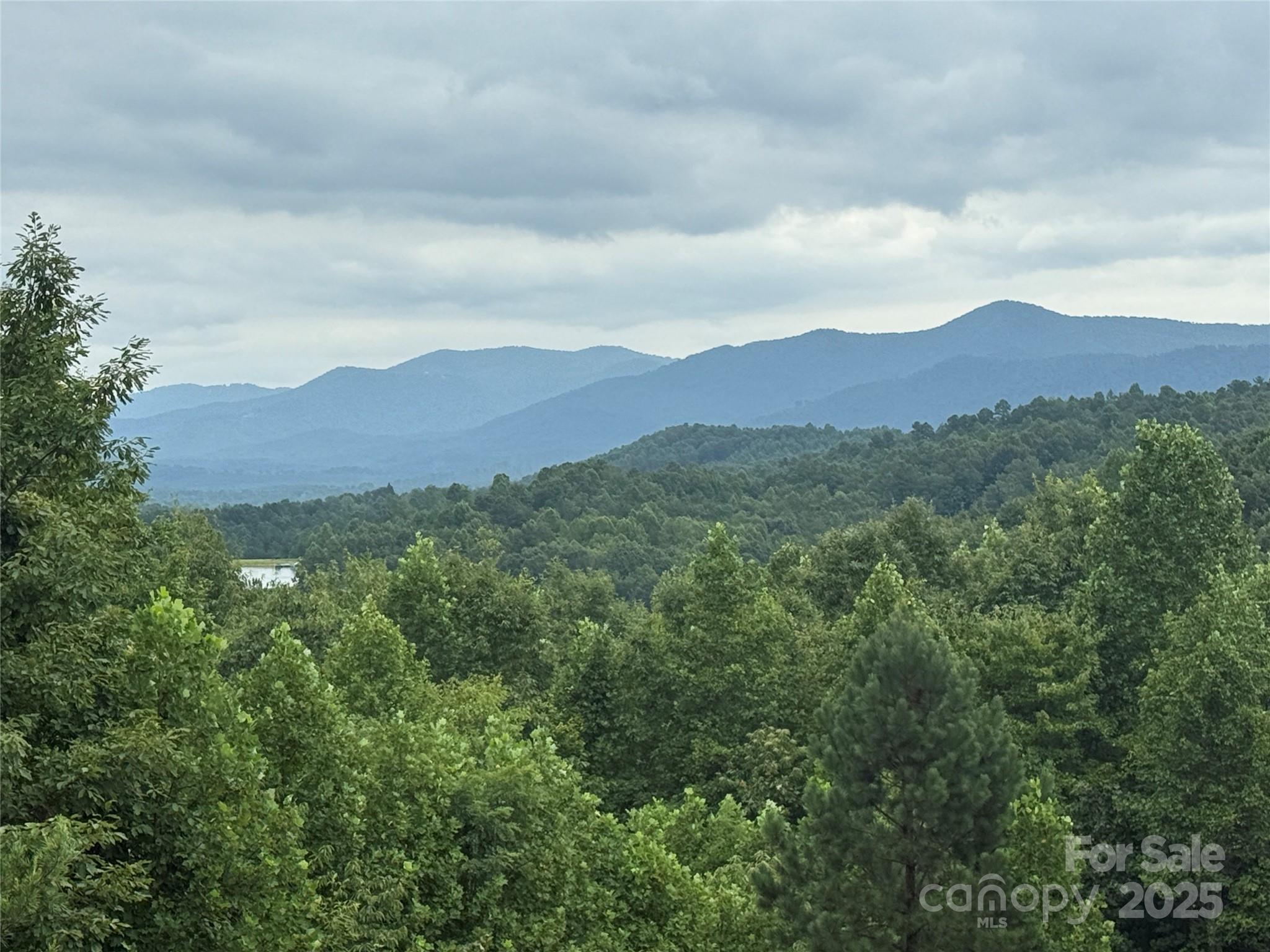 166 Coal Pit Mountain Drive Nebo NC 28761