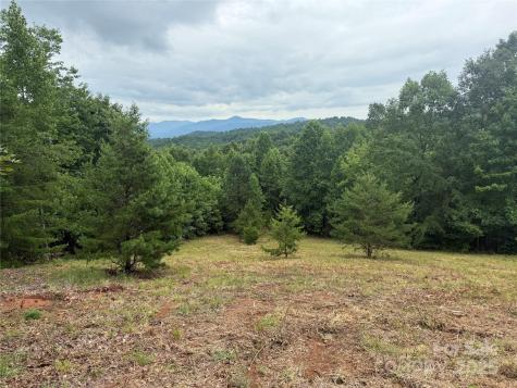 166 Coal Pit Mountain Drive Nebo NC 28761