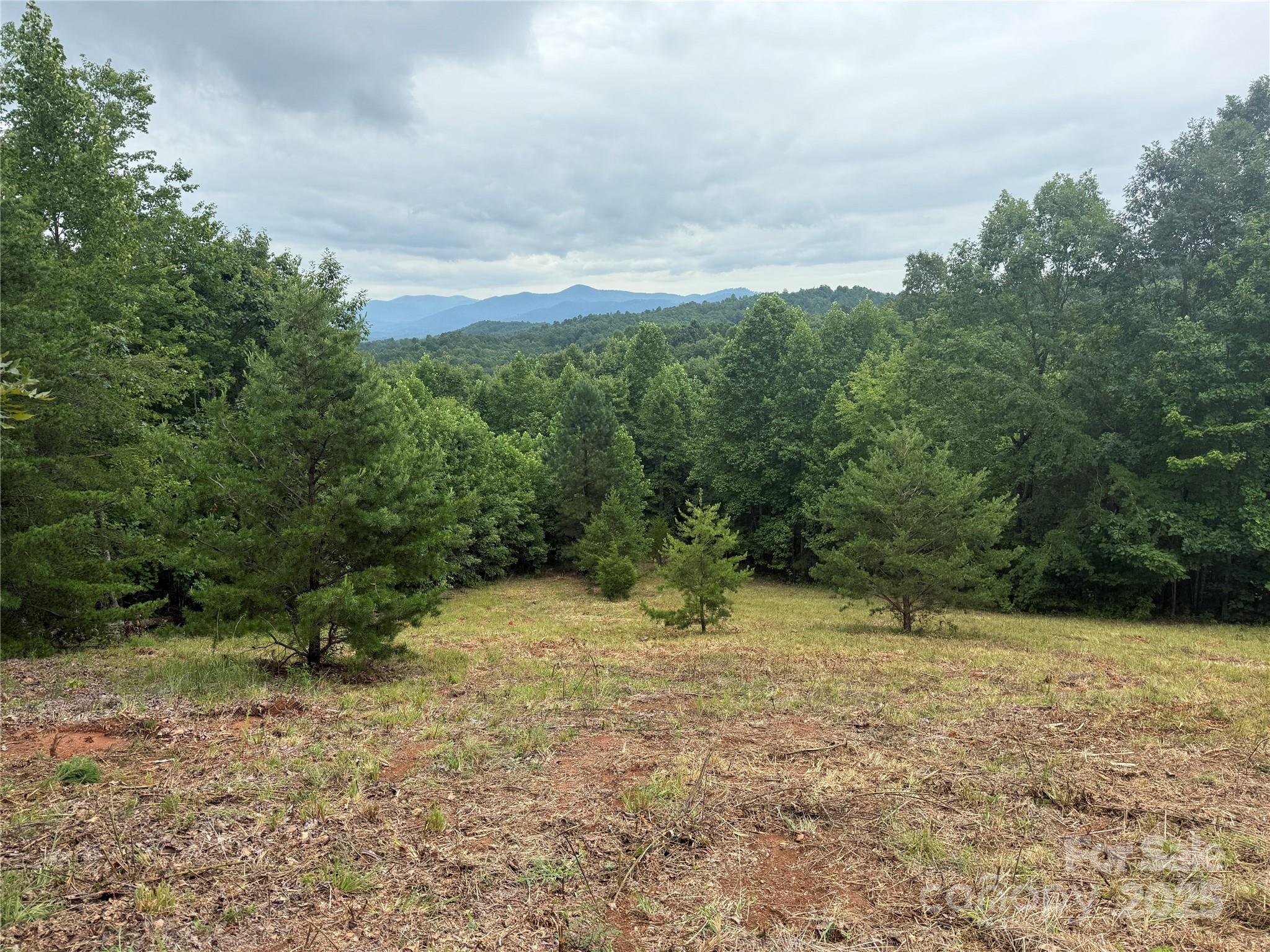 166 Coal Pit Mountain Drive Nebo NC 28761