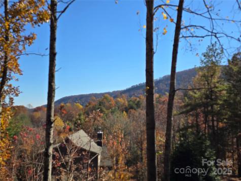 295 S Feather Falls Trail Black Mountain NC 28711