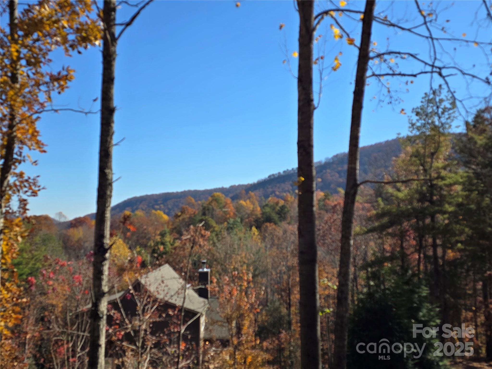 295 S Feather Falls Trail Black Mountain NC 28711