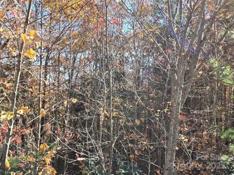 295 S Feather Falls Trail Black Mountain NC 28711